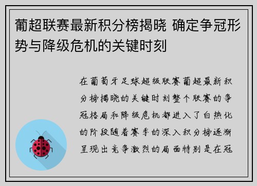 葡超联赛最新积分榜揭晓 确定争冠形势与降级危机的关键时刻