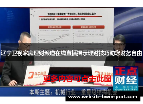 辽宁卫视家庭理财频道在线直播揭示理财技巧助您财务自由